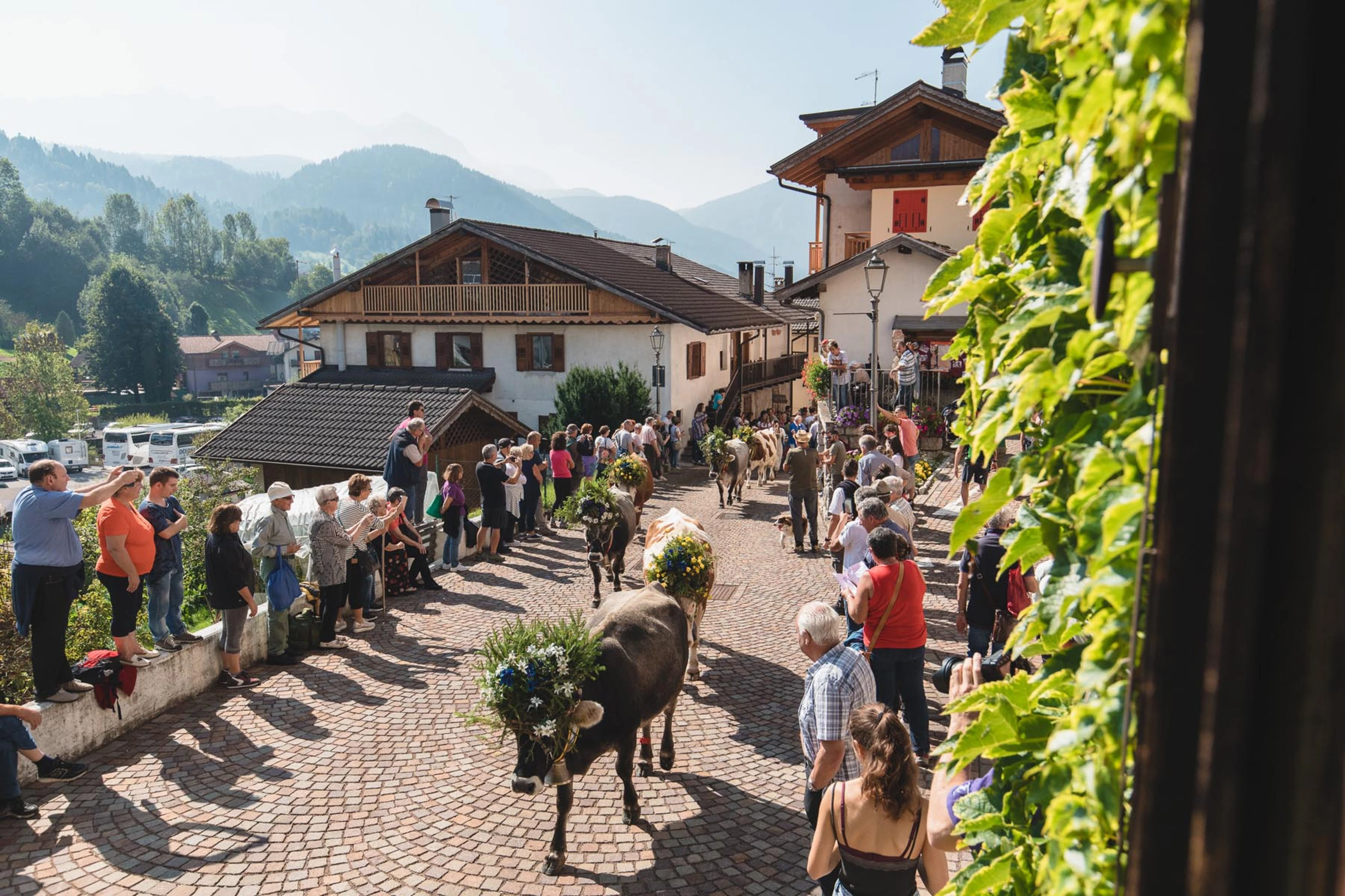 Gran festa del Desmontegar